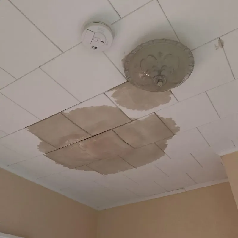 Ceiling Water Damage Repair in Oak Grove, MO