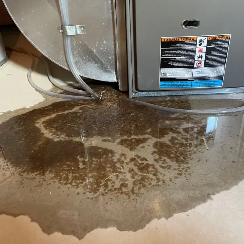 Pipe Burst and Leak Restoration in Oak Grove, MO
